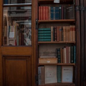 Literary Fiction Gems